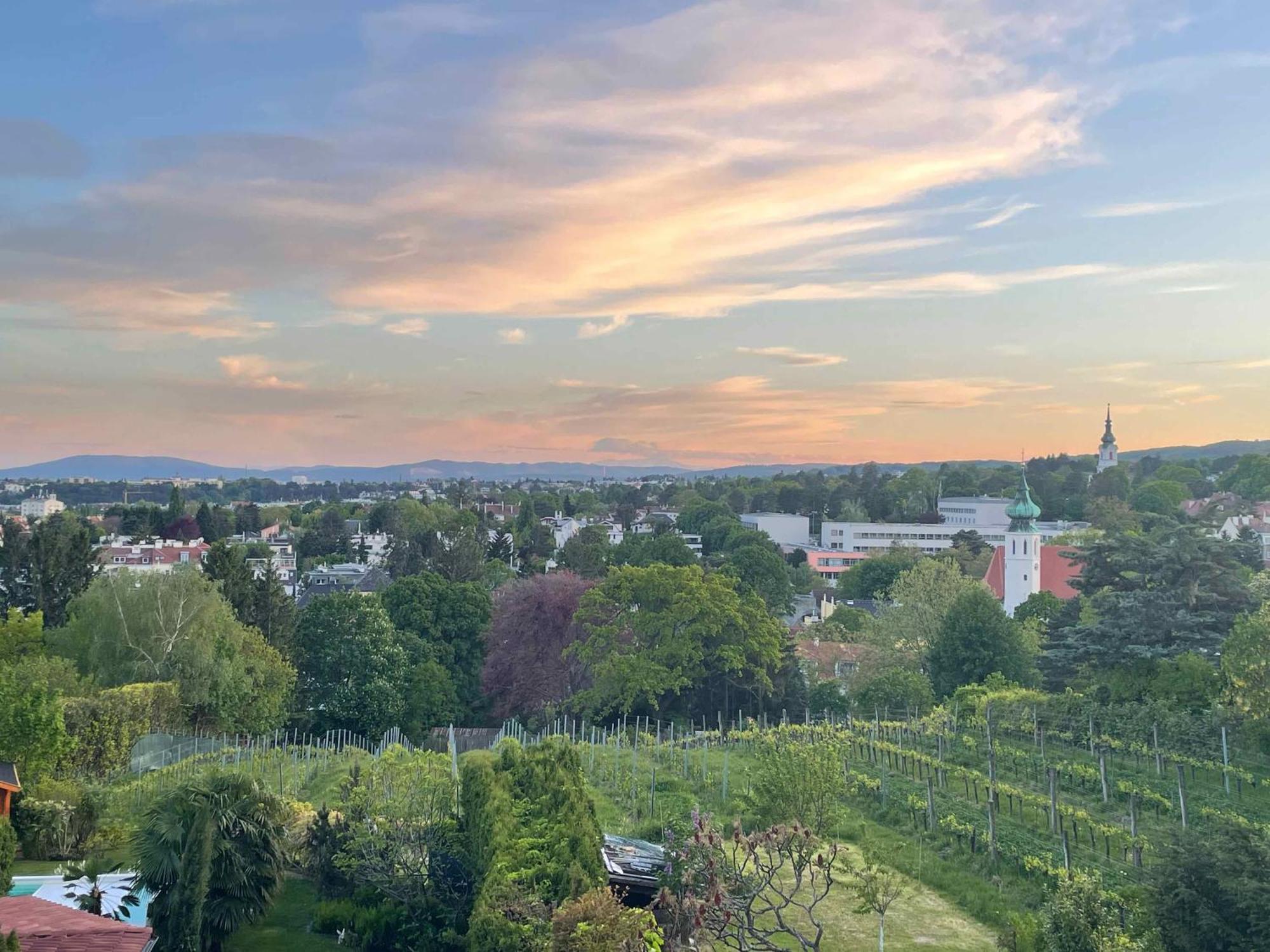 Herrlicher Ausblick Ueber Wien Exterior photo