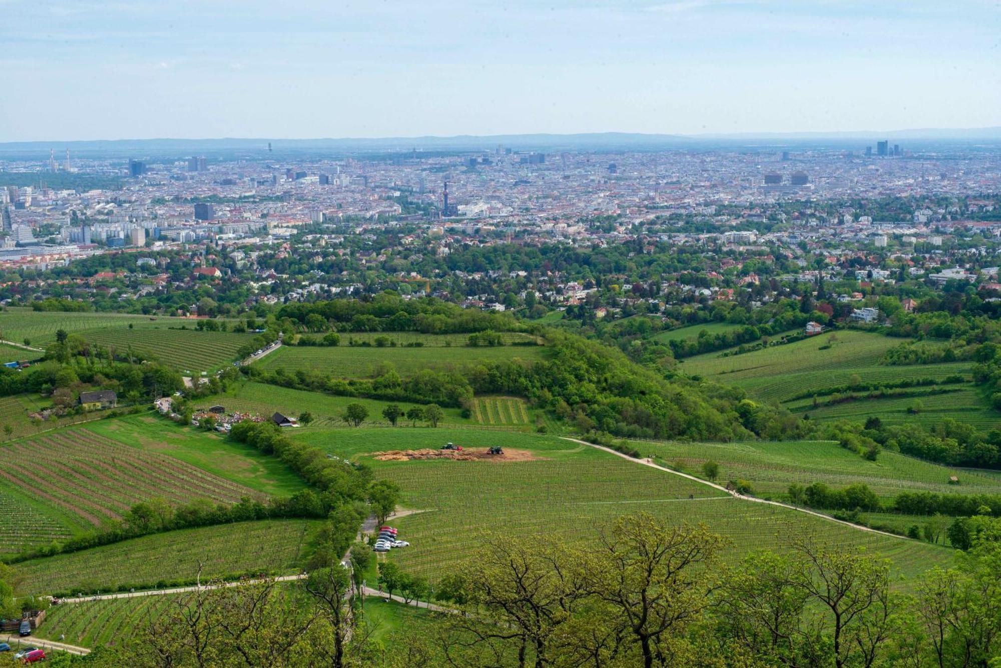 Herrlicher Ausblick Ueber Wien Exterior photo